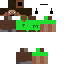 Texture for steve