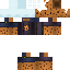 Texture for Sasche1 THELINK SKIN