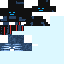 Texture for black witter