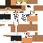 Texture for Allstar