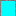 Texture for A magic pressure plate