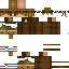 Texture for SimpleDzn
