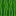 Texture for melon side