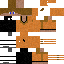 Texture for Josh 73