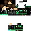 Texture for Neovision