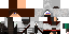 Texture for Assassin