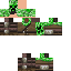 Texture for aaroncraft2019