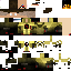 Texture for pires (flash-reverso)