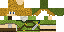Texture for LINK