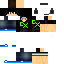 Texture for nima_carfix