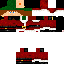Texture for robin hood