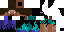 Texture for Endersteve
