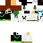 Texture for albert