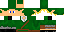 Texture for Link