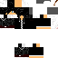 Texture for David_BR