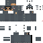 Texture for dino2