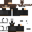 Texture for soilver1