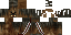 Texture for Chewie