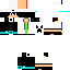 Texture for mineskin