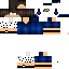 Texture for ds