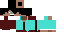 Texture for yolo