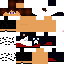Texture for Spacefox