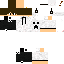 Texture for David