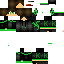 Texture for perssonage vert