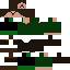 Texture for Ritter PP