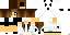 Texture for Ami3804