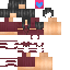 Texture for Romana
