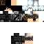 Texture for steve
