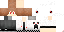Texture for DS