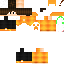Texture for agr sim 2
