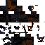 Texture for [pp[