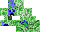 Texture for raph05