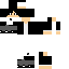 Texture for Supdude