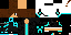 Texture for Ninja078