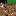 Texture for Grass_side
