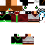 Texture for SteveBR30