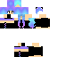 Texture for    