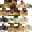 Texture for lION 