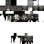 Texture for squelette