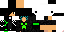 Texture for Leo10