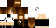 Texture for tori