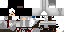 Texture for altair