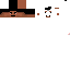 Texture for head
