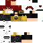 Texture for Casual Lan
