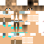 Texture for Overlay