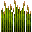 Texture for Wheat
